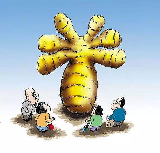 康美直销是不是骗人,康美之殇