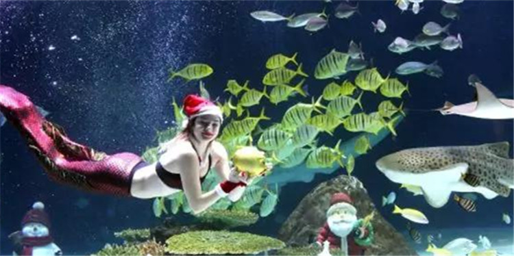 南京金鹰动物世界何时开,南京金鹰动物世界在哪里购票