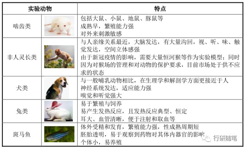 卖老鼠的生意怎么样,卖老鼠药的公司