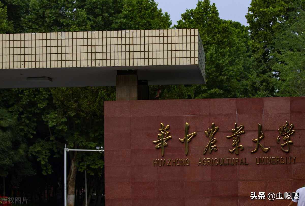 国内管理专业大学排行榜前十名,管理学211院校排行