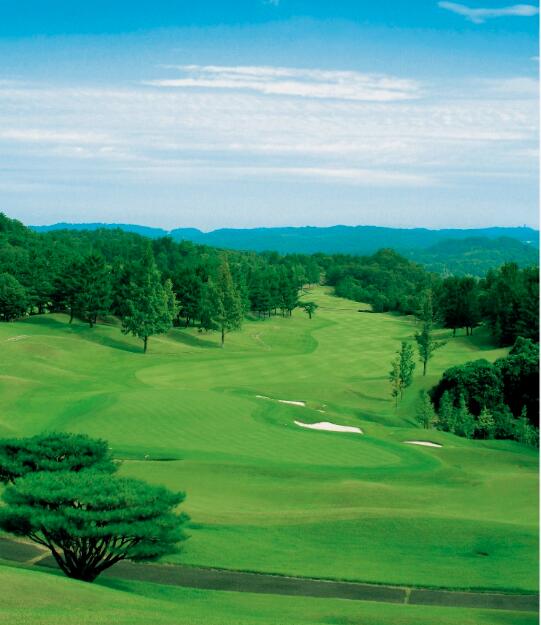 日本高尔夫球场,日本百佳