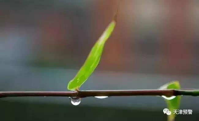 今日处暑！处暑养生看这里！