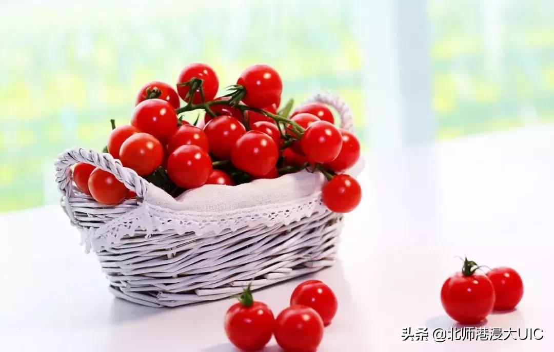 报告！暑假有UICer留校养鱼、看海