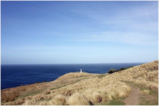 新西兰南岛人间净土,新西兰南岛世界尽头