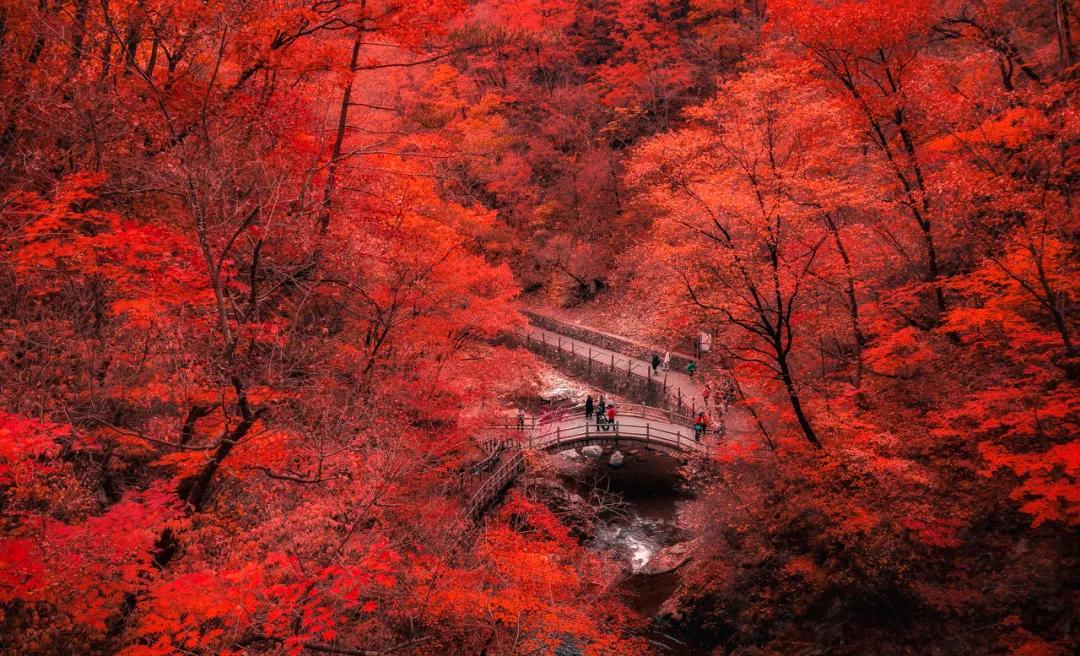 爱上大连的N个理由,爱上内蒙古的n个理由