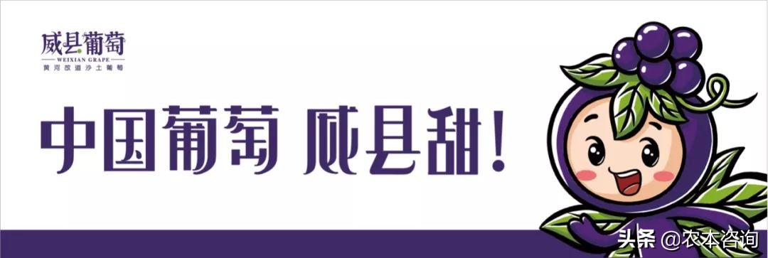 产品营销广告语怎么打吸引人,如何打造卖货广告语