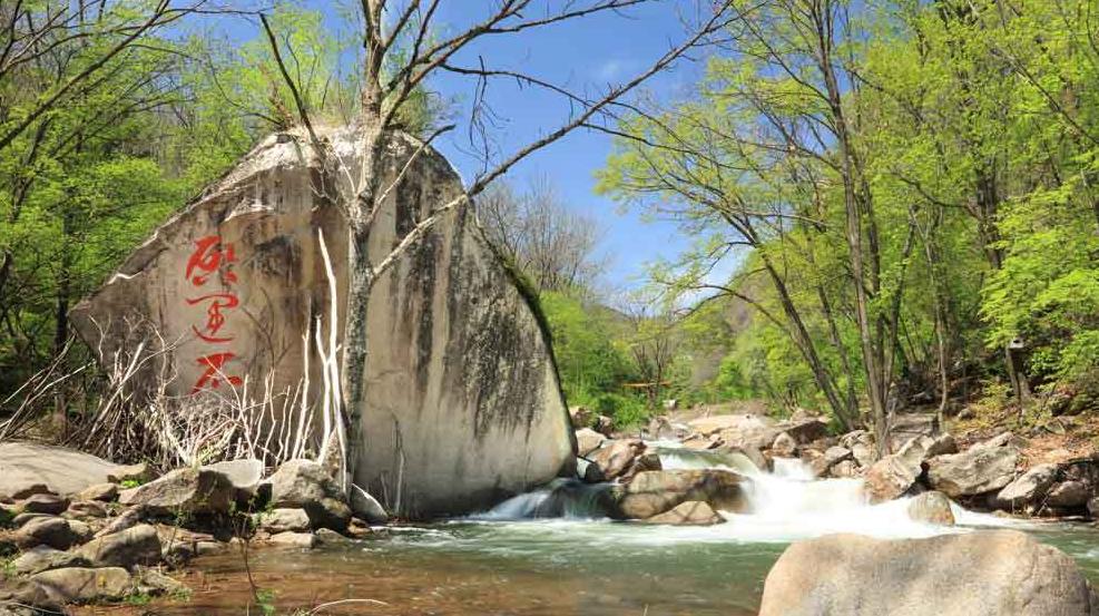 抚顺猴石国家森林公园,辽宁猴石国家森林公园在哪里