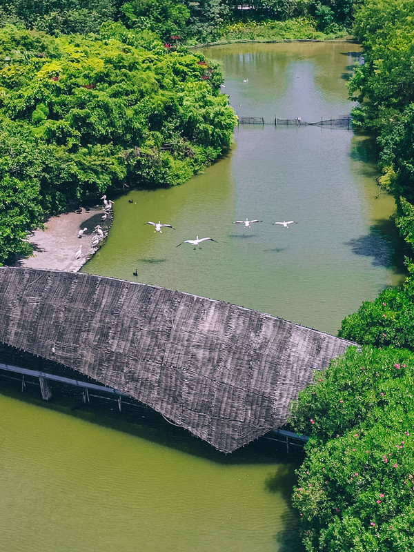 广州南沙最美风景区,南沙湾区超美风景线