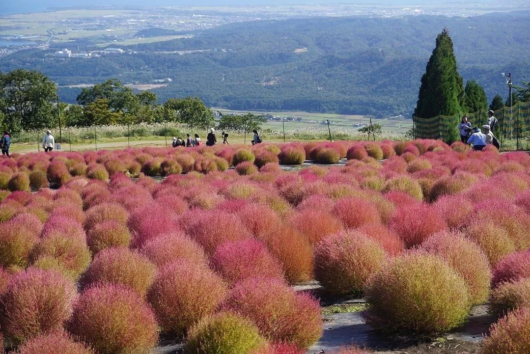 名古屋的机票,名古屋机票价格
