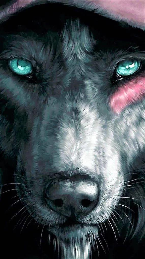 壁纸猛兽专用,壁纸猛兽派对