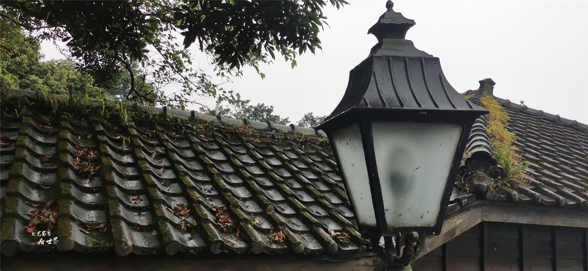 最大的金砖有多大,最大的金砖多少钱