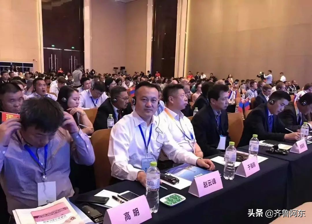 赵云峰东阿,东阿赵云峰