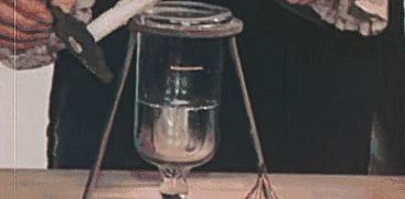 又好吃又不超过五块的网红冰淇淋,又高颜值又好吃的网红冰淇淋