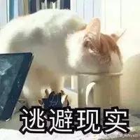 猫咪为什么讨厌洗脚呢,为什么猫咪讨厌水啊