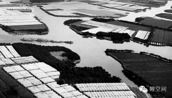 140年前的温州原来长这样！家乡的前世今生.