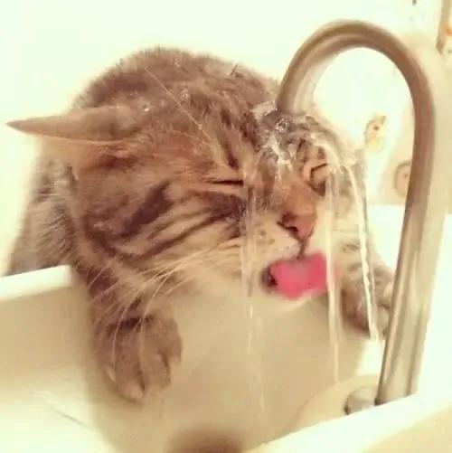 理发店正确的洗头方法和步骤,关于美发这个行业的知识