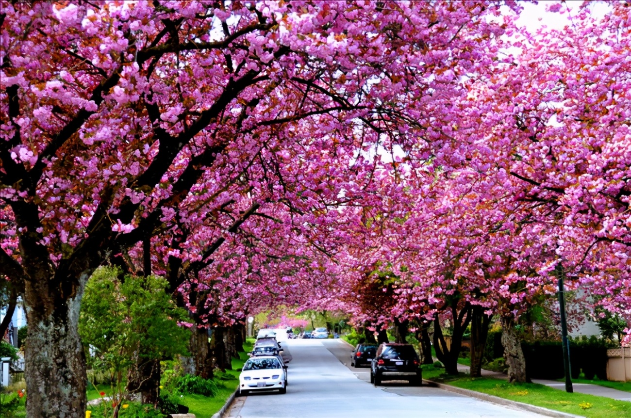 加拿大超级签证医疗保险,加拿大疫苗政策入境要求