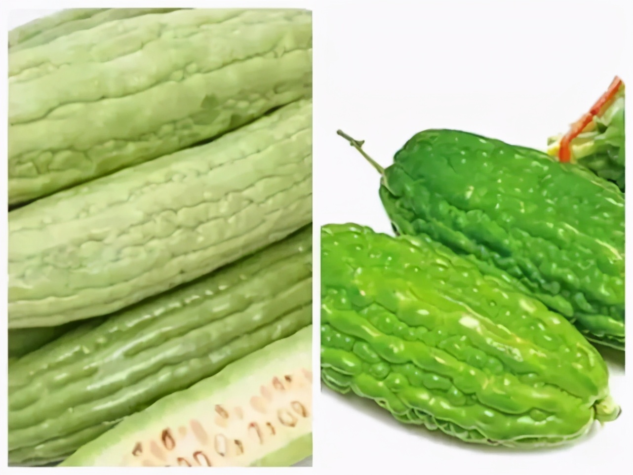 凉拌苦瓜去苦味小妙招,苦瓜去苦味的6个小妙招