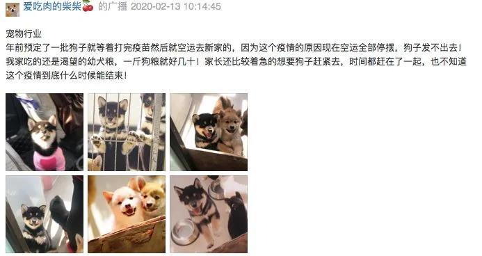 老板变成乞丐的视频,老板变成流浪汉视频