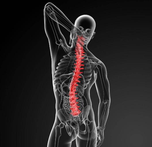 脊椎疼可引发哪种疾病,脊椎属于免疫系统吗