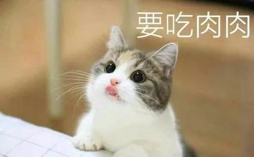 鼎湖附近老字号美食推荐,舌尖上的肇庆完整版