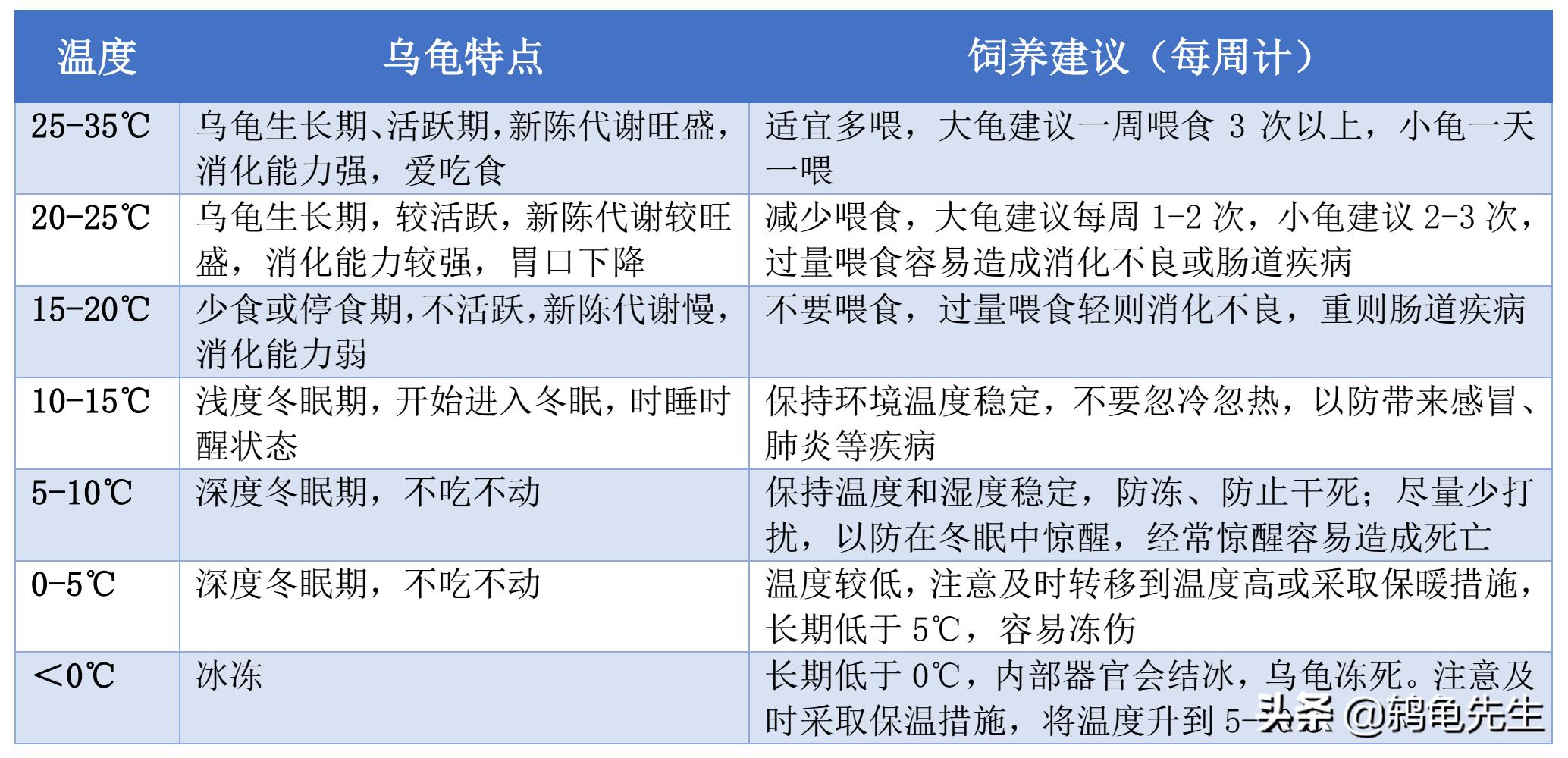 温度低乌龟不冬眠怎么办,春秋温差大需要给乌龟加温吗