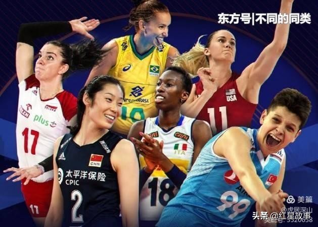 郎平经典战术,郎平奥运战术分析