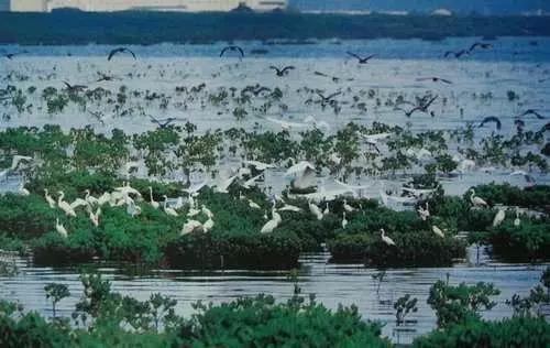 深圳遛娃必去的50个主题公园,深圳亲子游十佳去处免费