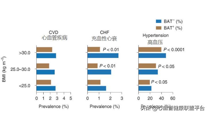 脂肪有好坏之分,脂肪种类很多也有优劣之分