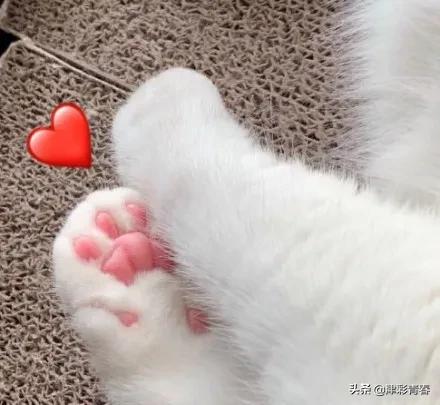 津南六月游玩攻略,这个季节去哪里旅游最好旅游攻略