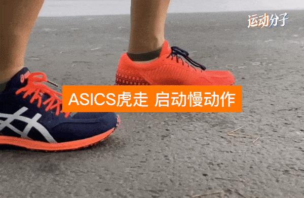 asicsmetaracer适不适合新手,asicsmetaracer有假的吗