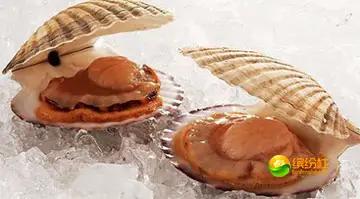 舟山海鲜代加工攻略,最全舟山海鲜攻略