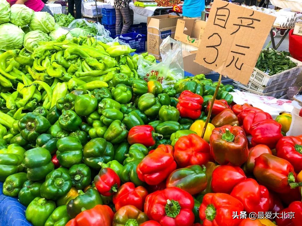 最便宜的早市品种,北方早市有哪些品种