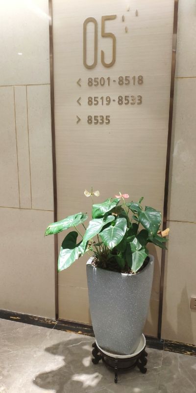 丽枫酒店住宿好评大全,丽枫酒店商务和豪华怎么选