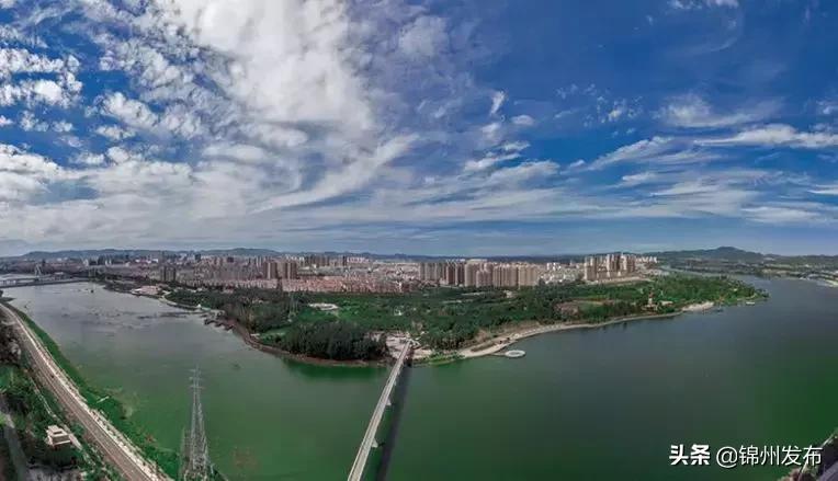 辽宁2020年民营企业100强,2019辽宁省百强民营企业