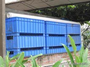 园林假山鱼池设计教程,鱼池假山怎样建才好看