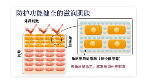 科普｜成分*党**最爱的“全能”成分