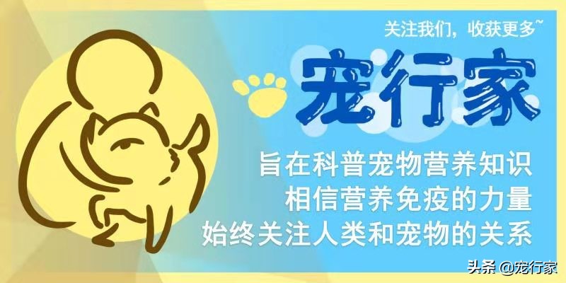 生骨肉猫吃得少,猫粮生骨肉的喂养方法