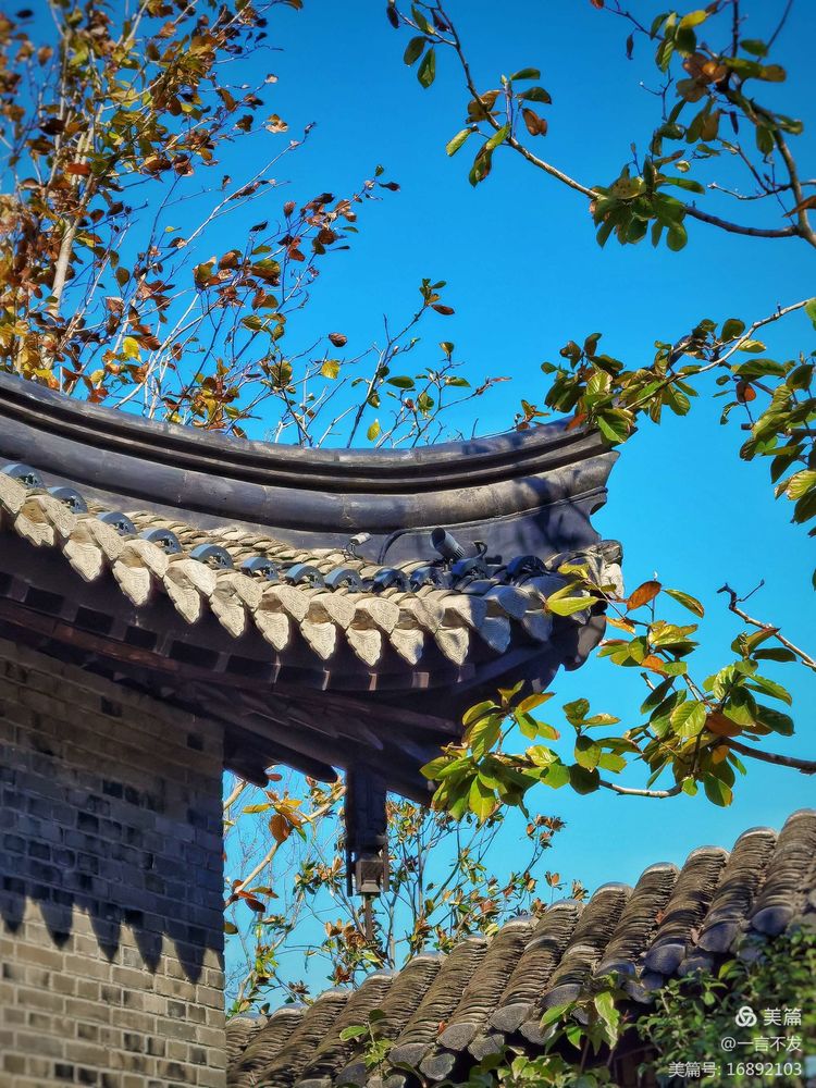 南京园博园时光亦谷游玩攻略路线,紫清湖和园博园哪个值得一去