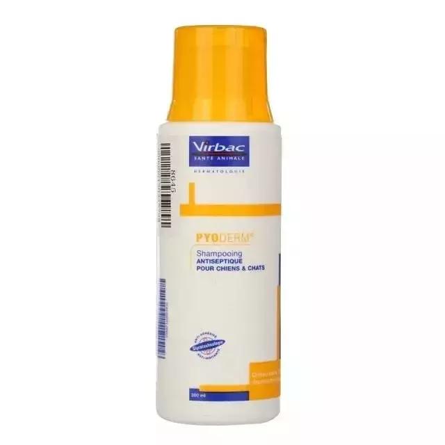 猫癣传染给人的症状,猫身上有猫癣怎么办