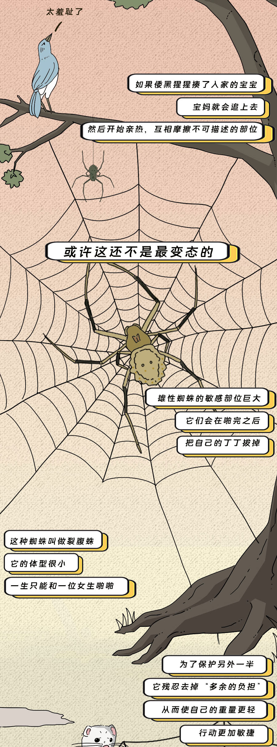 论啪啪啪,人类可比不上它们……