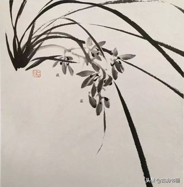 国画兰花技法讲解视频,徐湛国画兰花技法教学