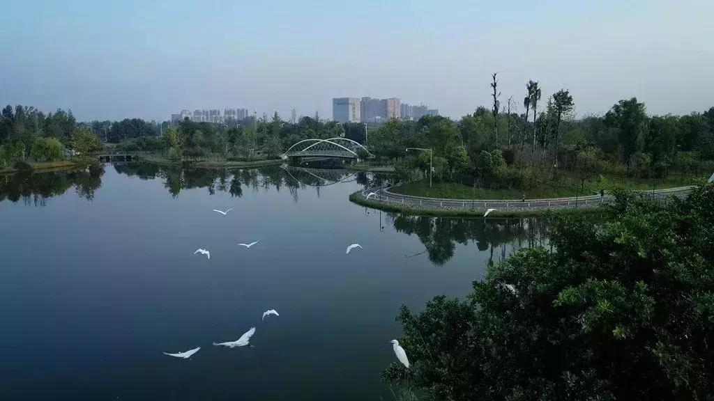 巴适自驾旅游攻略,巴适小众公园