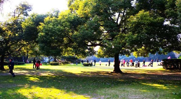 上海景点交通攻略,上海公交车旅游攻略