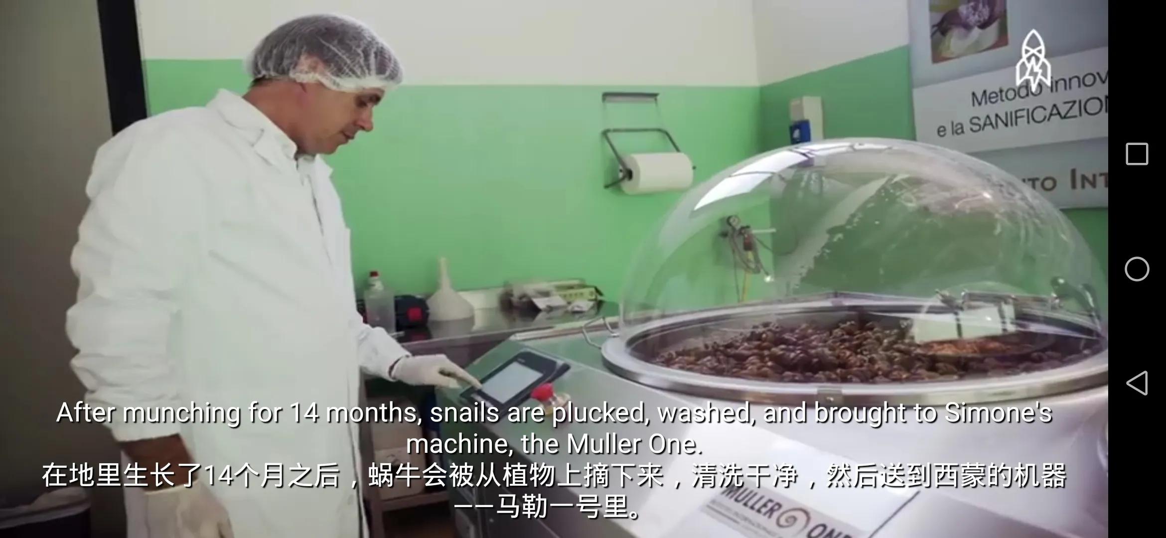 蜗牛护肤品都有修护作用吗,蜗牛的护肤品怎么这么便宜