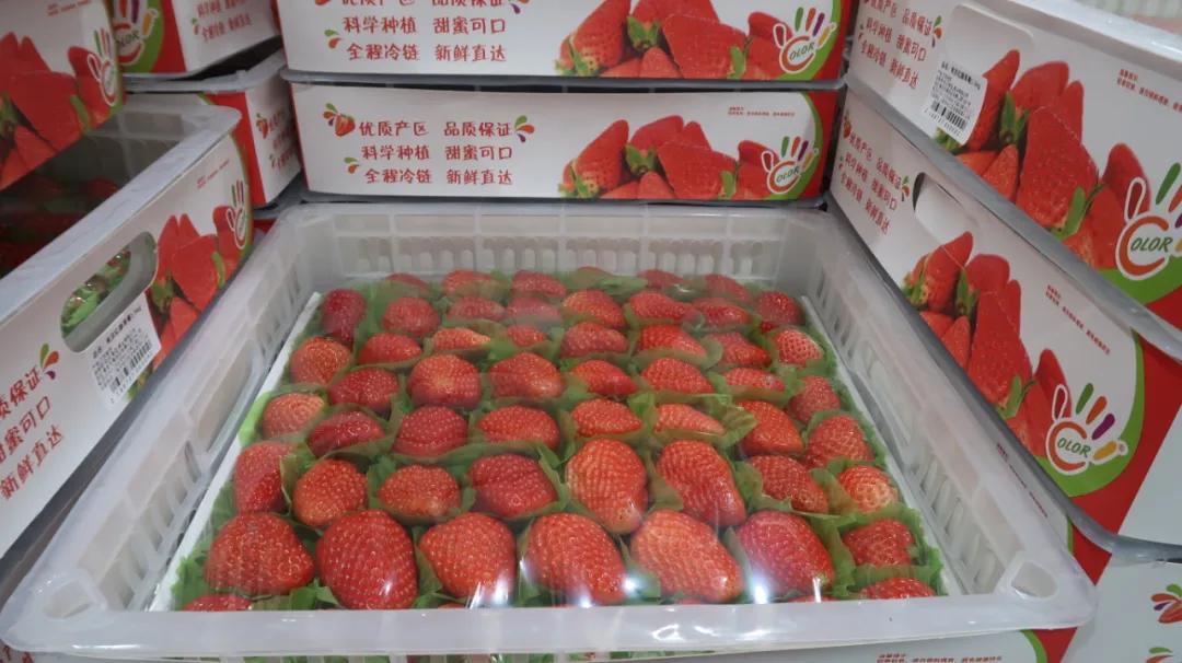 本地没有盒马山姆怎么买,盒马哪些地方比山姆好