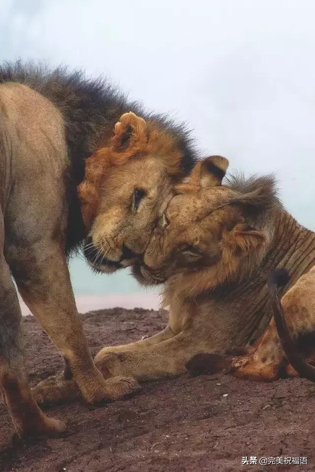 今天2.1，2月第1天，谁编的，太好笑了，给群里乐一乐~