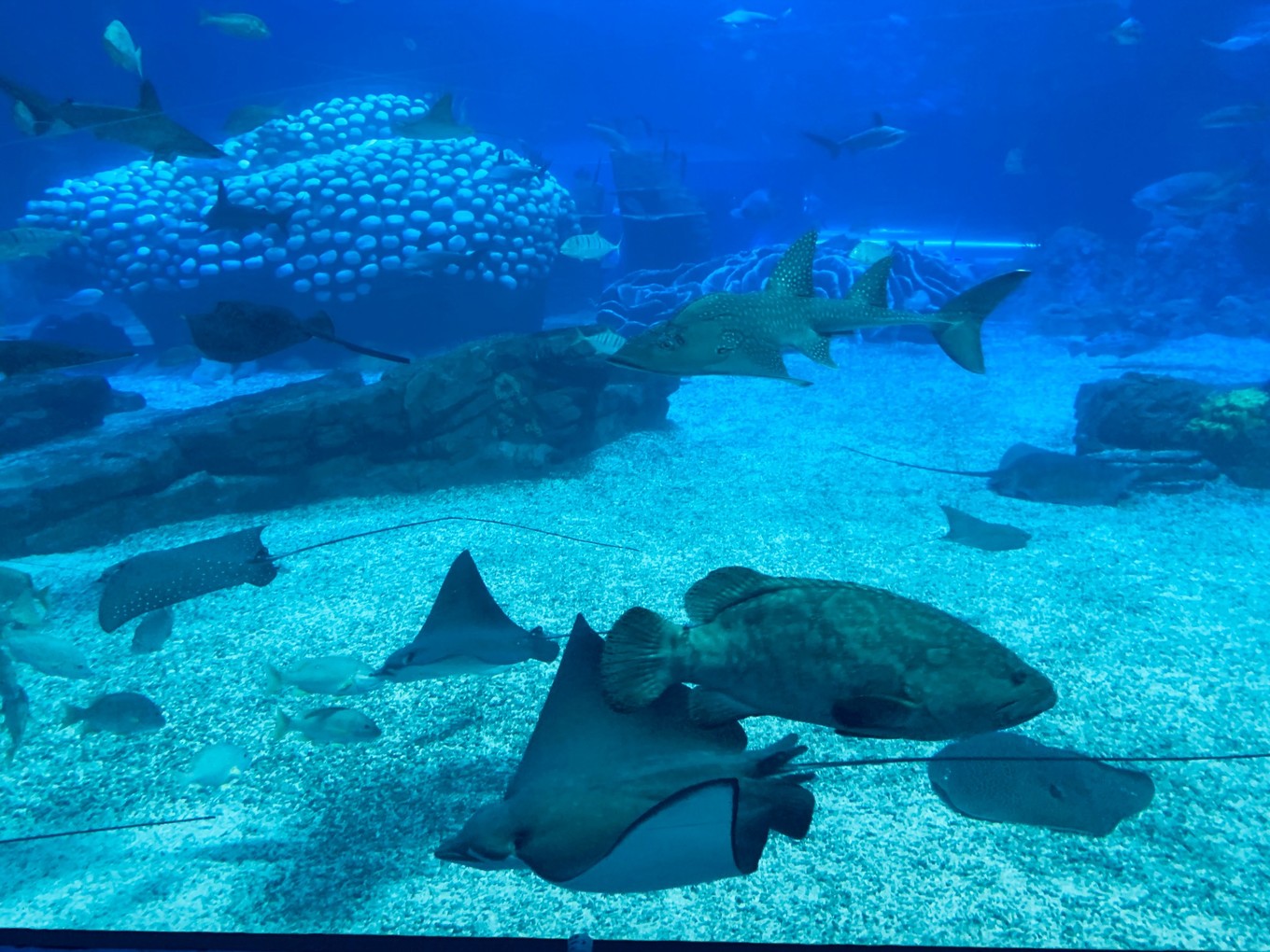 珠海长隆海洋王国攻略三天两夜,珠海长隆海洋王国必玩十大项目