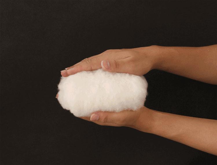 拖鞋中劳斯莱斯,拖鞋里面的劳斯莱斯