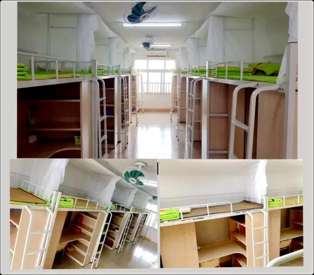 东莞虎门外语国际学校,东莞虎门有几个外国语学校